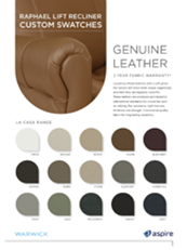 Aspire Raphael Custom Swatches